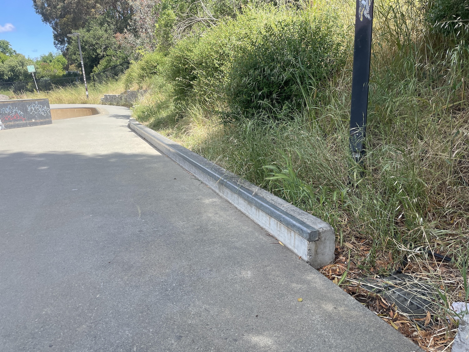 Sebastopol Skatepark